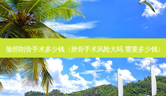 脸部削骨手术多少钱（磨骨手术风险大吗 需要多少钱）-第1张图片-容颜志 - 专注变美资讯