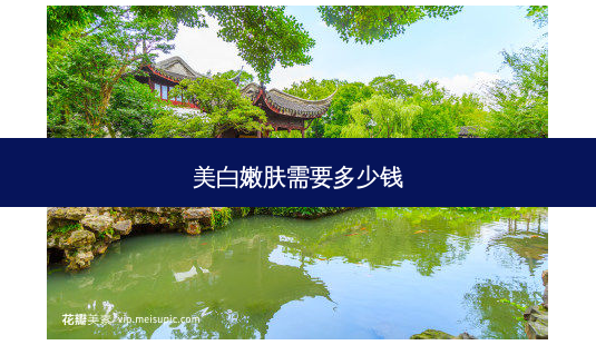 美 *** 肤需要多少钱-第1张图片-容颜志 - 专注变美资讯