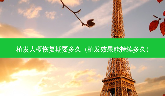 植发大概恢复期要多久(植发效果能持续多久)-第1张图片-容颜志 - 专注变美资讯 植发大概恢复期要多久(植发效果能持续多久)-第1张图片-容颜志 - 专注变美资讯