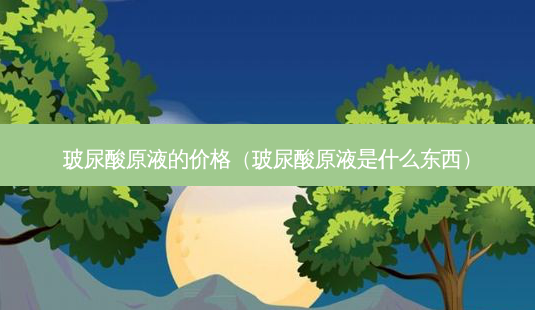 玻尿酸原液的价格（玻尿酸原液是什么东西）-第1张图片-容颜志 - 专注变美资讯