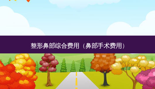 整形鼻部综合费用(鼻部手术费用)-第1张图片-容颜志 - 专注变美资讯 整形鼻部综合费用(鼻部手术费用)-第1张图片-容颜志 - 专注变美资讯
