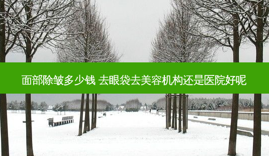 面部除皱多少钱 去眼袋去美容机构还是医院好呢-第1张图片-容颜志 - 专注变美资讯 面部除皱多少钱 去眼袋去美容机构还是医院好呢-第1张图片-容颜志 - 专注变美资讯
