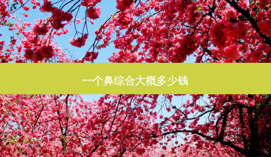 一个鼻综合大概多少钱-第1张图片-容颜志 - 专注变美资讯 一个鼻综合大概多少钱-第1张图片-容颜志 - 专注变美资讯