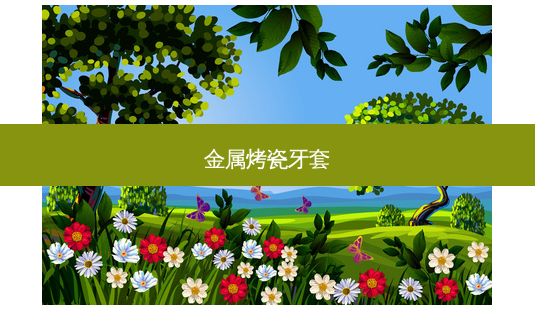 金属烤瓷牙套-第1张图片-容颜志 - 专注变美资讯 金属烤瓷牙套-第1张图片-容颜志 - 专注变美资讯