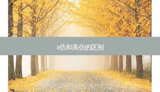 a仿和高仿的区别-第1张图片-容颜志 - 专注变美资讯 a仿和高仿的区别-第1张图片-容颜志 - 专注变美资讯