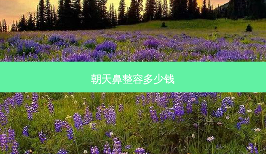 朝天鼻整容多少钱-第1张图片-容颜志 - 专注变美资讯 朝天鼻整容多少钱-第1张图片-容颜志 - 专注变美资讯