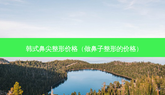 韩式鼻尖整形价格(做鼻子整形的价格)-第1张图片-容颜志 - 专注变美资讯 韩式鼻尖整形价格(做鼻子整形的价格)-第1张图片-容颜志 - 专注变美资讯