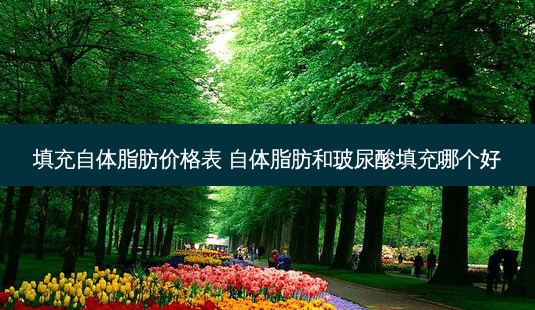 填充自体脂肪价格表 自体脂肪和玻尿酸填充哪个好-第1张图片-容颜志 - 专注变美资讯 填充自体脂肪价格表 自体脂肪和玻尿酸填充哪个好-第1张图片-容颜志 - 专注变美资讯