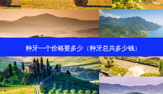 种牙一个价格要多少(种牙总共多少钱)-第1张图片-容颜志 - 专注变美资讯 种牙一个价格要多少(种牙总共多少钱)-第1张图片-容颜志 - 专注变美资讯