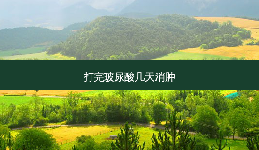 打完玻尿酸几天消肿-第1张图片-容颜志 - 专注变美资讯 打完玻尿酸几天消肿-第1张图片-容颜志 - 专注变美资讯