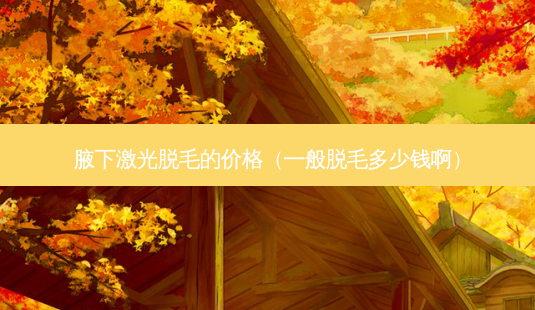 腋下激光脱毛的价格（一般脱毛多少钱啊）-第1张图片-容颜志 - 专注变美资讯