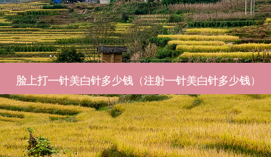 脸上打一针美白针多少钱(注射一针美白针多少钱)-第1张图片-容颜志 - 专注变美资讯 脸上打一针美白针多少钱(注射一针美白针多少钱)-第1张图片-容颜志 - 专注变美资讯