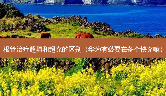 根管超填和超充的区别（华为有必要在备个快充嘛）-第1张图片-容颜志 - 专注变美资讯
