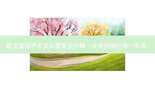 眼皮提拉手术多久需要多少钱(全身抽脂价格一览表)-第1张图片-容颜志 - 专注变美资讯 眼皮提拉手术多久需要多少钱(全身抽脂价格一览表)-第1张图片-容颜志 - 专注变美资讯
