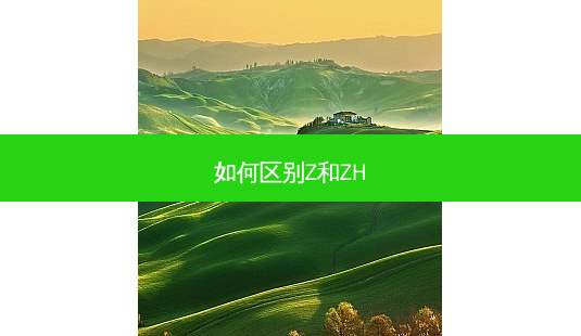 如何区别Z和ZH-第1张图片-容颜志 - 专注变美资讯 如何区别Z和ZH-第1张图片-容颜志 - 专注变美资讯