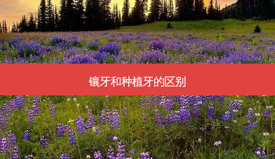 镶牙和种植牙的区别-第1张图片-容颜志 - 专注变美资讯 镶牙和种植牙的区别-第1张图片-容颜志 - 专注变美资讯