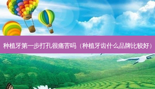 种植牙第一步打孔很痛苦吗（种植牙齿什么品牌比较好）-第1张图片-容颜志 - 专注变美资讯