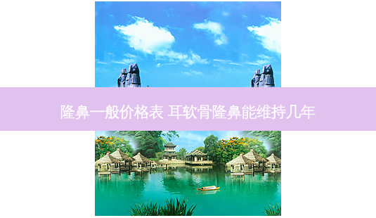 隆鼻一般价格表 耳软骨隆鼻能维持几年-第1张图片-容颜志 - 专注变美资讯