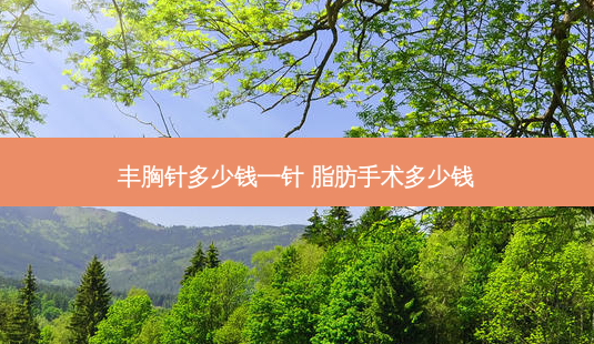 丰胸针多少钱一针 脂肪手术多少钱-第1张图片-容颜志 - 专注变美资讯 丰胸针多少钱一针 脂肪手术多少钱-第1张图片-容颜志 - 专注变美资讯
