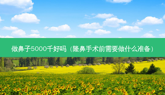 做鼻子5000千好吗(隆鼻手术前需要做什么准备)-第1张图片-容颜志 - 专注变美资讯 做鼻子5000千好吗(隆鼻手术前需要做什么准备)-第1张图片-容颜志 - 专注变美资讯