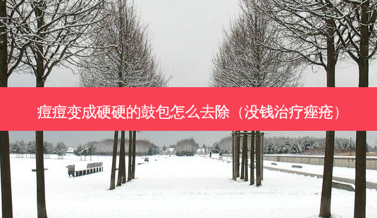 痘痘变成硬硬的鼓包怎么去除（没钱痤疮）-第1张图片-容颜志 - 专注变美资讯