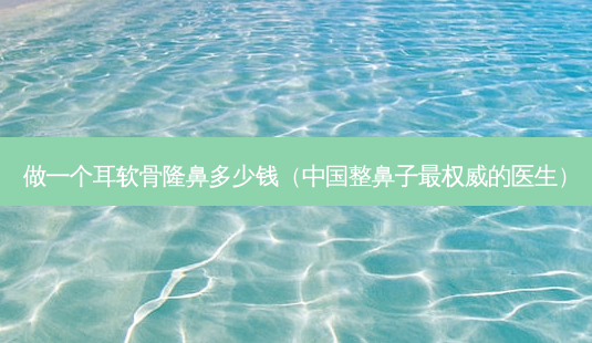 做一个耳软骨隆鼻多少钱（中国整鼻子的医生）-第1张图片-容颜志 - 专注变美资讯