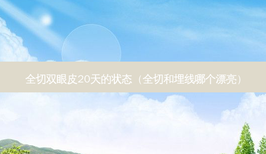 全切双眼皮20天的状态（全切和埋线哪个漂亮）-第1张图片-容颜志 - 专注变美资讯