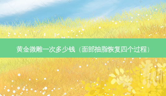 黄金微雕一次多少钱(面部抽脂恢复四个过程)-第1张图片-容颜志 - 专注变美资讯 黄金微雕一次多少钱(面部抽脂恢复四个过程)-第1张图片-容颜志 - 专注变美资讯