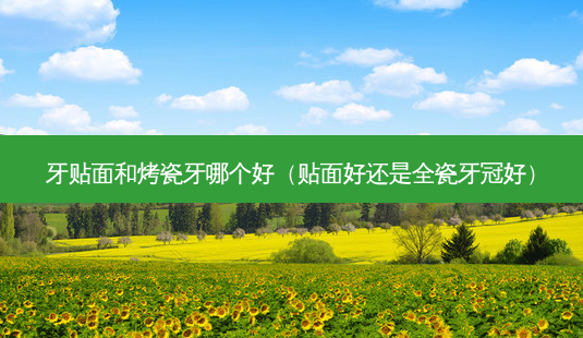 牙贴面和烤瓷牙哪个好（贴面好还是全瓷牙冠好）-第1张图片-容颜志 - 专注变美资讯