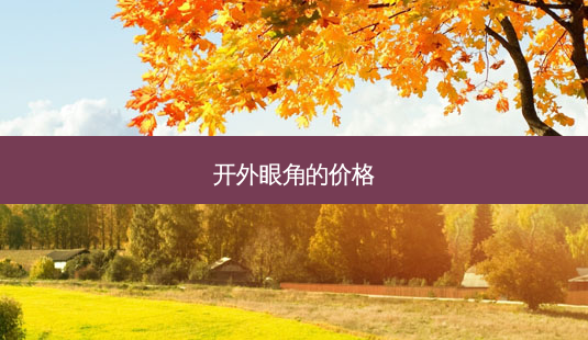 开外眼角的价格-第1张图片-容颜志 - 专注变美资讯 开外眼角的价格-第1张图片-容颜志 - 专注变美资讯