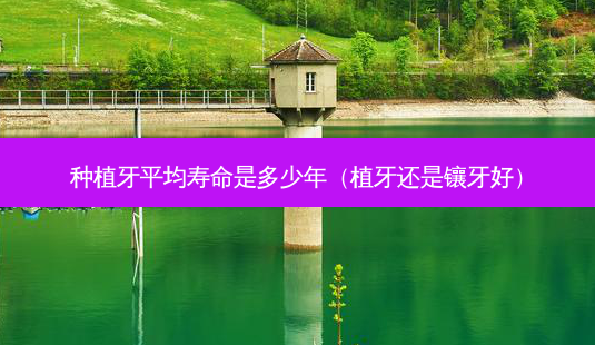 种植牙平均寿命是多少年(植牙还是镶牙好)-第1张图片-容颜志 - 专注变美资讯 种植牙平均寿命是多少年(植牙还是镶牙好)-第1张图片-容颜志 - 专注变美资讯