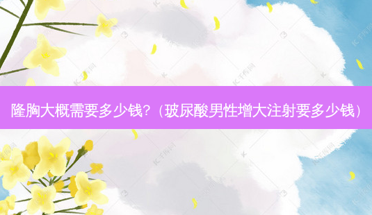 隆胸大概需要多少钱?（玻尿酸男性增大注射要多少钱）-第1张图片-容颜志 - 专注变美资讯