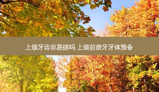 上颌牙齿容易拔吗 上颌前磨牙牙体预备-第1张图片-容颜志 - 专注变美资讯 上颌牙齿容易拔吗 上颌前磨牙牙体预备-第1张图片-容颜志 - 专注变美资讯