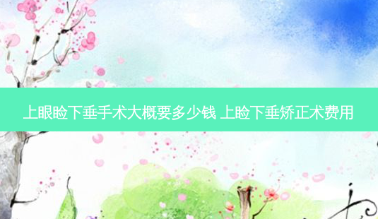 上眼睑下垂手术大概要多少钱 上睑下垂矫正术费用-第1张图片-容颜志 - 专注变美资讯 上眼睑下垂手术大概要多少钱 上睑下垂矫正术费用-第1张图片-容颜志 - 专注变美资讯
