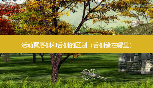 活动翼唇侧和舌侧的区别(舌侧缘在哪里)-第1张图片-容颜志 - 专注变美资讯 活动翼唇侧和舌侧的区别(舌侧缘在哪里)-第1张图片-容颜志 - 专注变美资讯