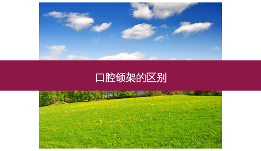 口腔颌架的区别-第1张图片-容颜志 - 专注变美资讯 口腔颌架的区别-第1张图片-容颜志 - 专注变美资讯