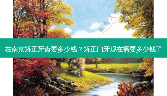 在南京矫正牙齿要多少钱?矫正门牙现在需要多少钱了-第1张图片-容颜志 - 专注变美资讯 在南京矫正牙齿要多少钱?矫正门牙现在需要多少钱了-第1张图片-容颜志 - 专注变美资讯