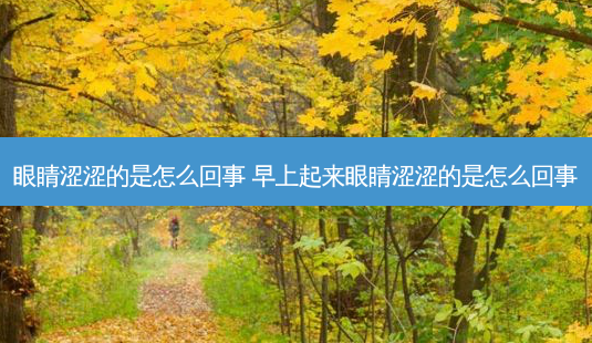 眼睛涩涩的是怎么回事 早上起来眼睛涩涩的是怎么回事-第1张图片-容颜志 - 专注变美资讯 眼睛涩涩的是怎么回事 早上起来眼睛涩涩的是怎么回事-第1张图片-容颜志 - 专注变美资讯