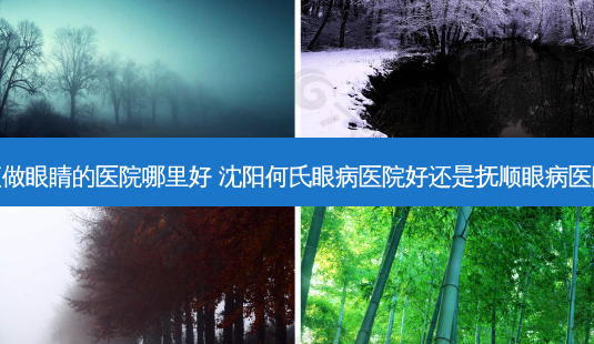 抚顺做眼睛的医院哪里好 沈阳何氏眼病医院好还是抚顺眼病医院好-第1张图片-容颜志 - 专注变美资讯 抚顺做眼睛的医院哪里好 沈阳何氏眼病医院好还是抚顺眼病医院好-第1张图片-容颜志 - 专注变美资讯