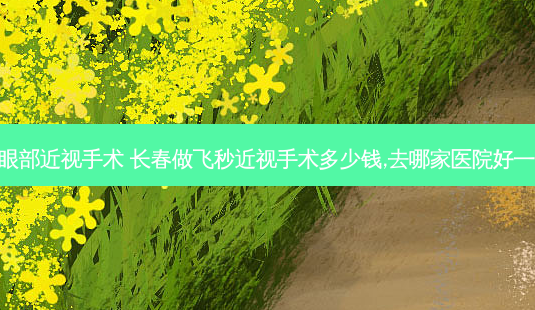 长春眼部近视手术 长春做飞秒近视手术多少钱,去哪家医院好一点呢-第1张图片-容颜志 - 专注变美资讯 长春眼部近视手术 长春做飞秒近视手术多少钱,去哪家医院好一点呢-第1张图片-容颜志 - 专注变美资讯