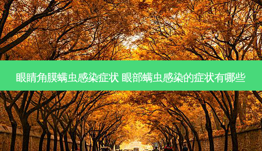 眼睛角膜螨虫感染症状 眼部螨虫感染的症状有哪些-第1张图片-容颜志 - 专注变美资讯 眼睛角膜螨虫感染症状 眼部螨虫感染的症状有哪些-第1张图片-容颜志 - 专注变美资讯