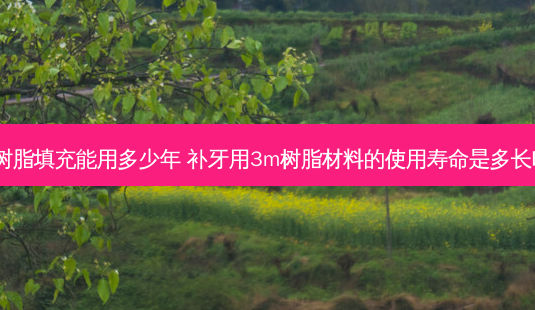 3m树脂填充能用多少年 补牙用3m树脂材料的使用寿命是多长时间-第1张图片-容颜志 - 专注变美资讯 3m树脂填充能用多少年 补牙用3m树脂材料的使用寿命是多长时间-第1张图片-容颜志 - 专注变美资讯