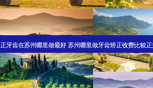 矫正牙齿在苏州哪里做好 苏州哪里做牙齿矫正收费比较正规-第1张图片-容颜志 - 专注变美资讯 矫正牙齿在苏州哪里做好 苏州哪里做牙齿矫正收费比较正规-第1张图片-容颜志 - 专注变美资讯