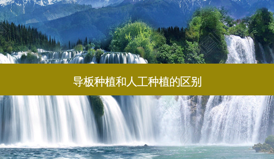 导板种植和人工种植的区别-第1张图片-容颜志 - 专注变美资讯 导板种植和人工种植的区别-第1张图片-容颜志 - 专注变美资讯