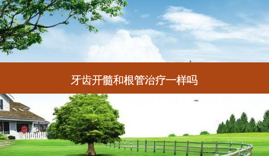牙齿开髓和根管一样吗-第1张图片-容颜志 - 专注变美资讯 牙齿开髓和根管一样吗-第1张图片-容颜志 - 专注变美资讯