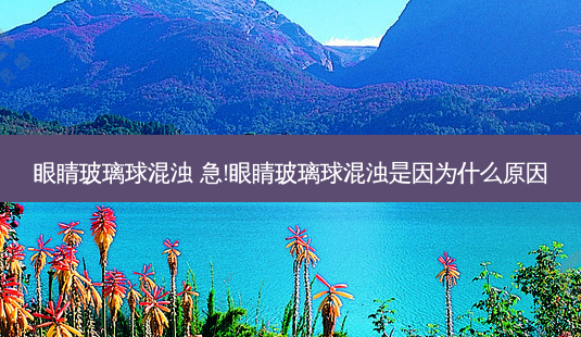 眼睛玻璃球混浊 急!眼睛玻璃球混浊是因为什么原因-第1张图片-容颜志 - 专注变美资讯 眼睛玻璃球混浊 急!眼睛玻璃球混浊是因为什么原因-第1张图片-容颜志 - 专注变美资讯