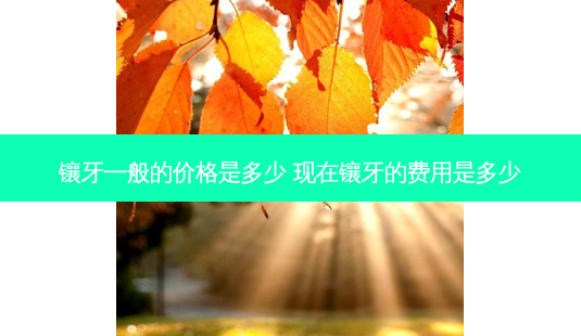镶牙一般的价格是多少 现在镶牙的费用是多少-第1张图片-容颜志 - 专注变美资讯 镶牙一般的价格是多少 现在镶牙的费用是多少-第1张图片-容颜志 - 专注变美资讯