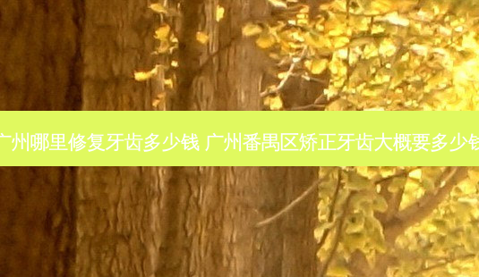 广州哪里修复牙齿多少钱 广州番禺区矫正牙齿大概要多少钱-第1张图片-容颜志 - 专注变美资讯 广州哪里修复牙齿多少钱 广州番禺区矫正牙齿大概要多少钱-第1张图片-容颜志 - 专注变美资讯
