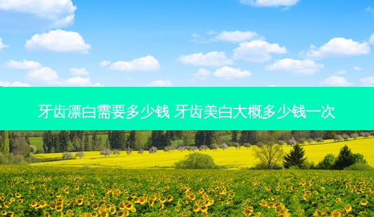牙齿漂白需要多少钱 牙齿美白大概多少钱一次-第1张图片-容颜志 - 专注变美资讯 牙齿漂白需要多少钱 牙齿美白大概多少钱一次-第1张图片-容颜志 - 专注变美资讯