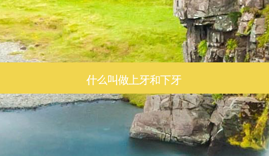 什么叫做上牙和下牙-第1张图片-容颜志 - 专注变美资讯 什么叫做上牙和下牙-第1张图片-容颜志 - 专注变美资讯